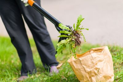 Keeps your yard looking clean and well-maintained.