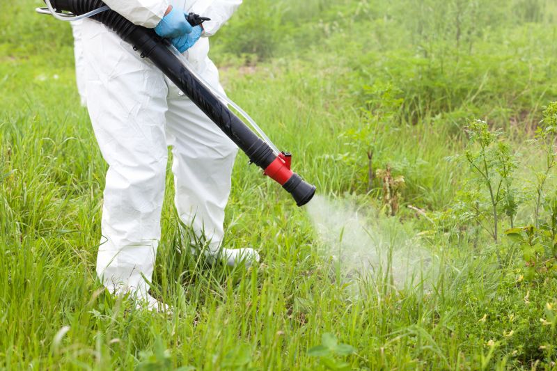 Weed Control Service