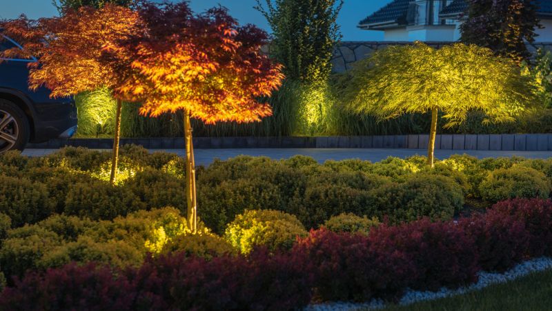Landscape Lighting Installation in Denver, CO