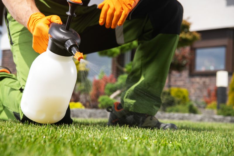 Pampas Grass Control in Aiken, SC