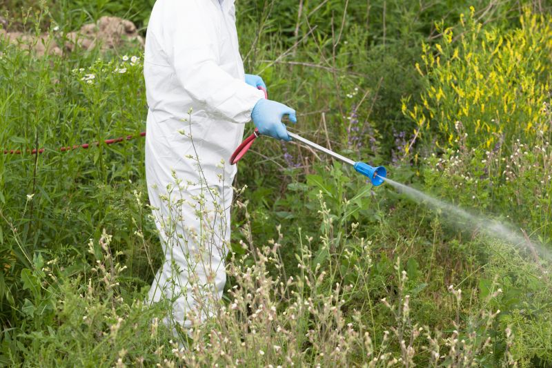 Weed Spraying in Aiken, SC